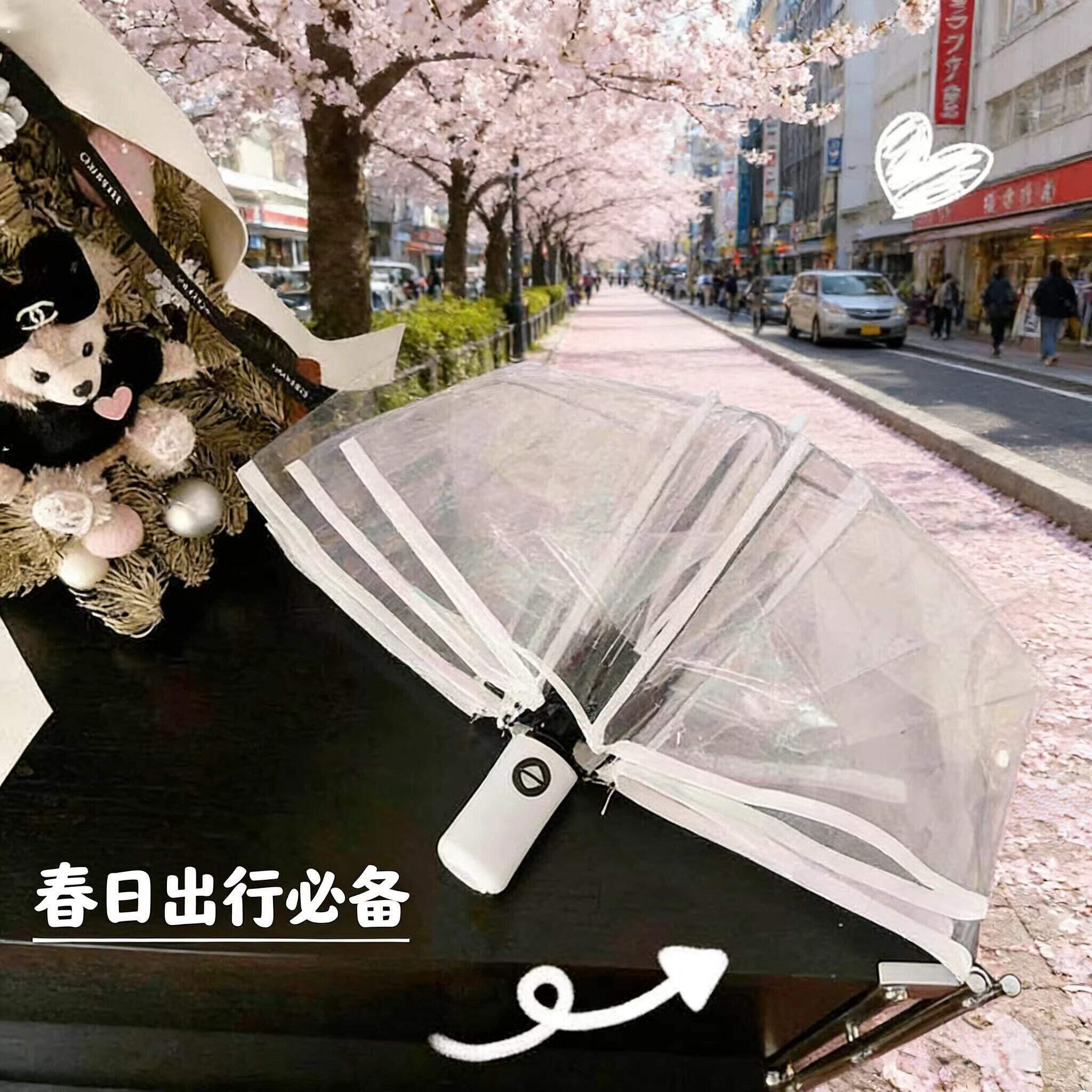 透明雨伞可折叠白色日系三折伞大号自动伞男女生高颜值网红拍照伞