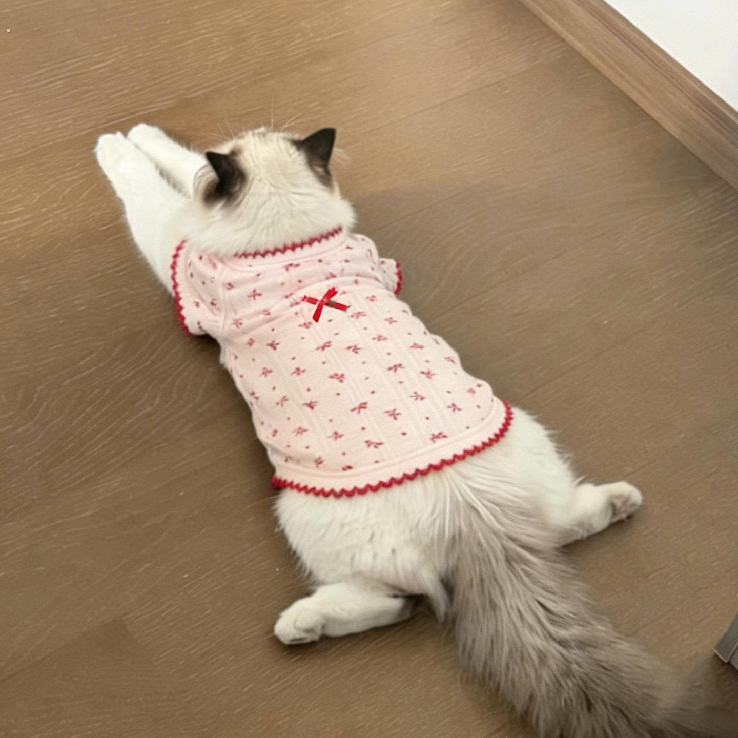 春天猫咪衣服布偶猫德文猫薄款防掉毛春装幼猫幼犬夏季可爱背心