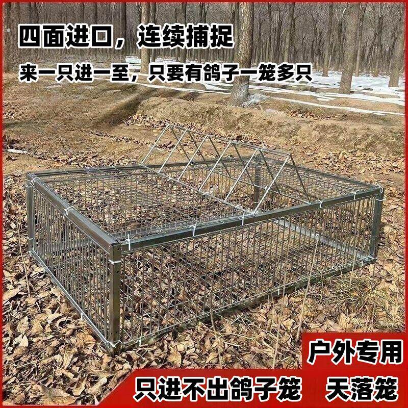 新款加密祇进不出鸽子笼天落笼户外撞门笼全自动收鸽笼捕鸽子神器