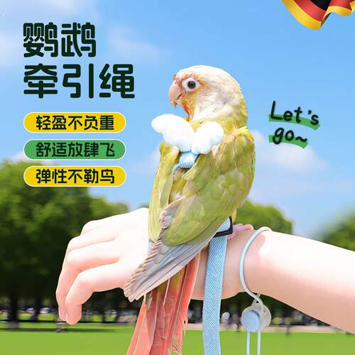 新款鹦鹉牵引绳虎皮玄风牡丹专用外出放飞绳超轻不伤脚遛鸟神器新