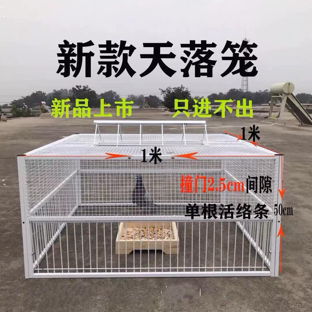 鸽子诱捕器天落笼只进不出鸽子笼加密收鸽笼活络门户外自动收鸽器