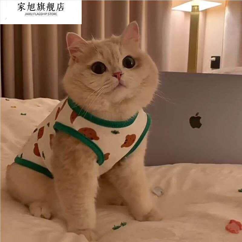 好物速发猫咪衣服防掉毛秋季薄款英美短蓝猫布偶猫小型犬泰迪狗狗