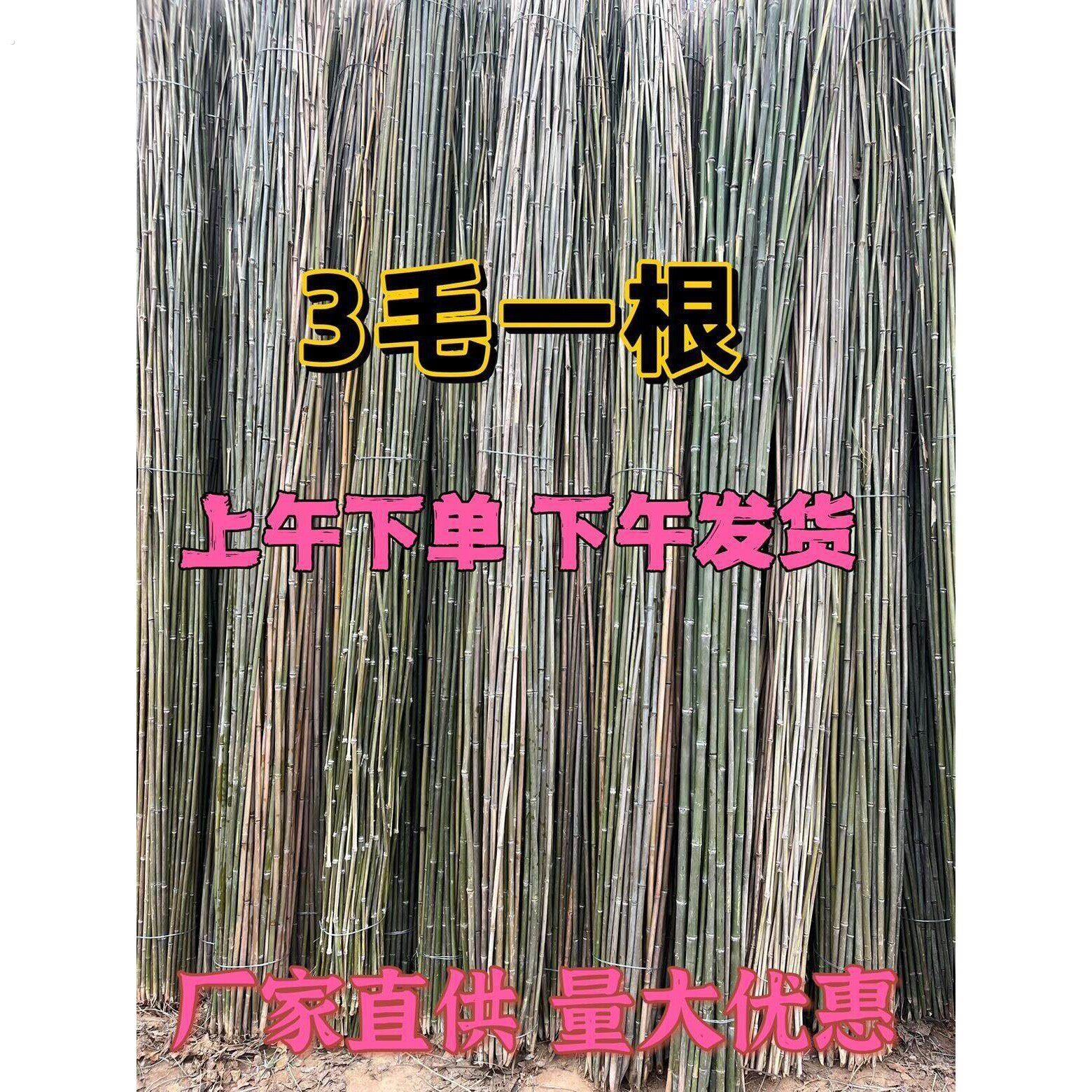 小竹杆爬藤架竹竿菜园搭架豆角黄瓜支架竹篱笆栅栏彩旗杆防腐装饰