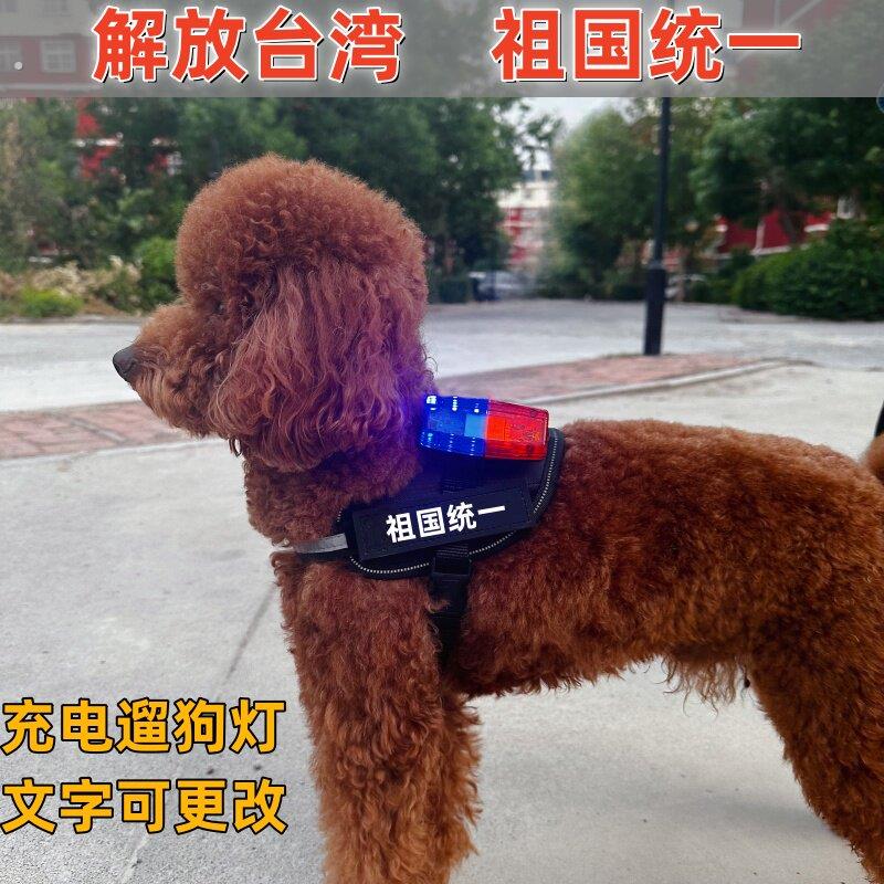 遛狗灯狗狗夜行灯警示灯肩灯爆闪光讯号灯充电解放台湾祖国统一