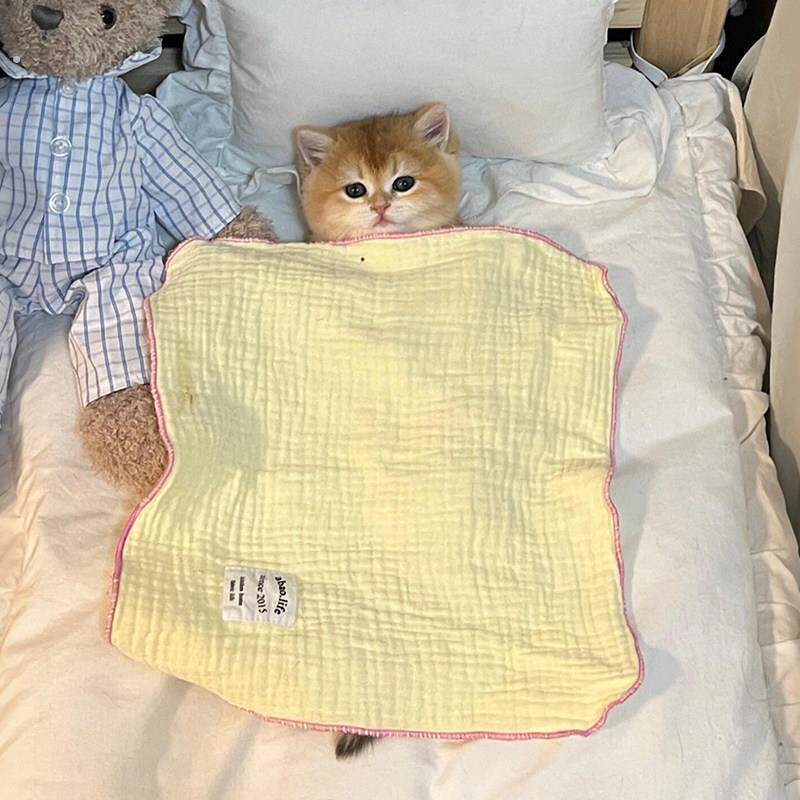 宠物毛毯猫咪夏季睡觉小被子四季通用狗狗空调夏凉被盖毯柔软舒适