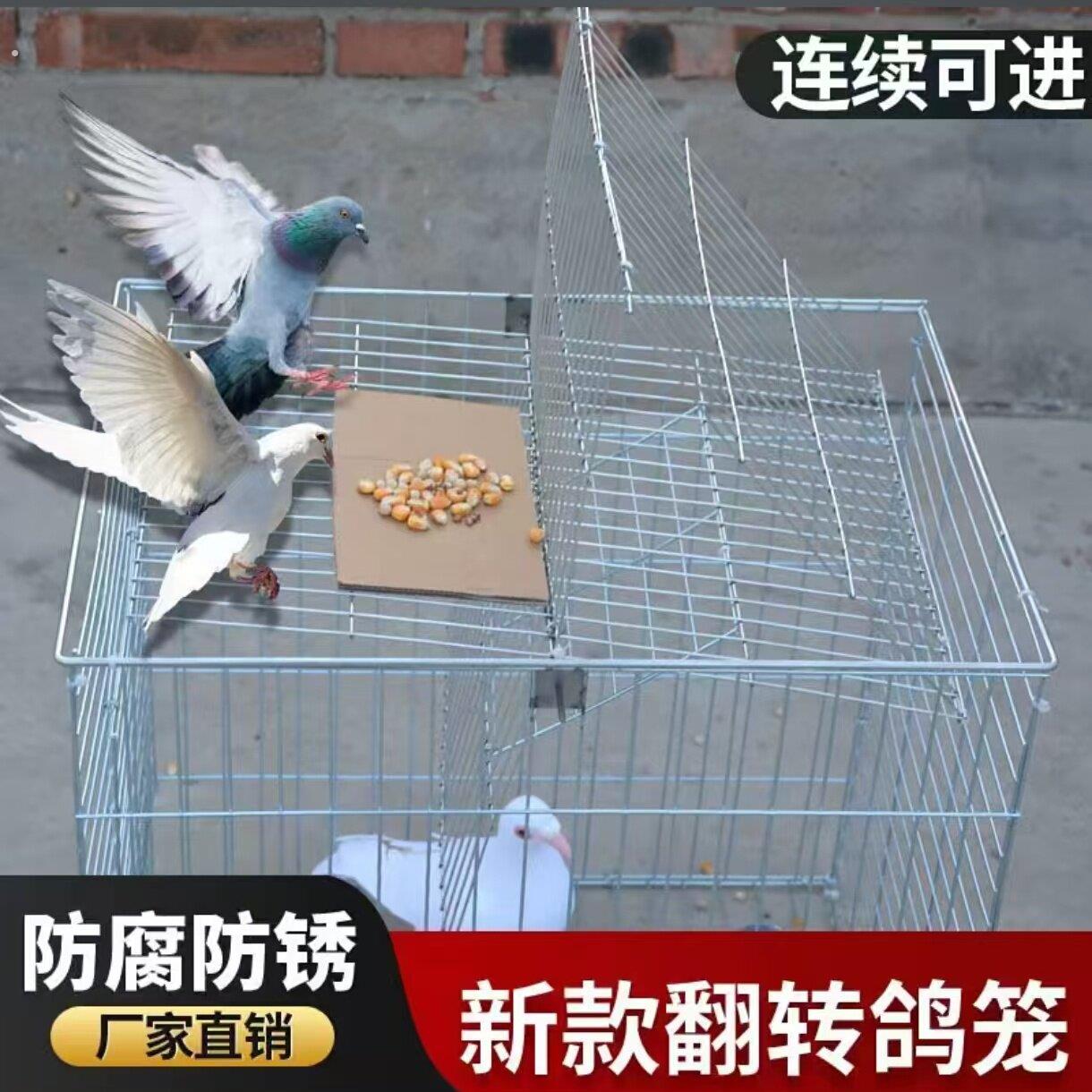 自动连续进鸽子笼加密粗防锈天落笼只进不出收鸽笼户外阳台翻转笼