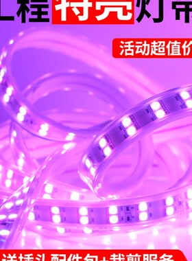 客厅led灯带高亮七彩遥控防水灯条变色工程软5050高亮吊顶RGB灯带