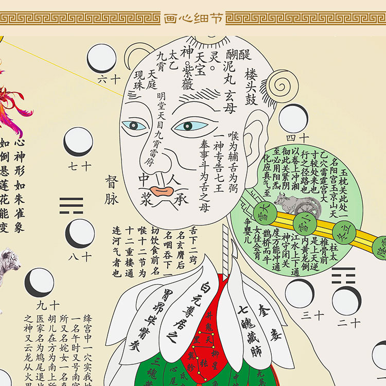内经图 道家修真图火候图卷轴挂画 绢布材质装饰画丝绸画定制订做