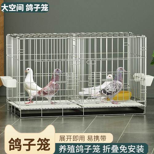 鸽子笼家用养殖笼鸽子配对笼大号鸽子笼带隔断繁殖养殖鸽笼新款笼