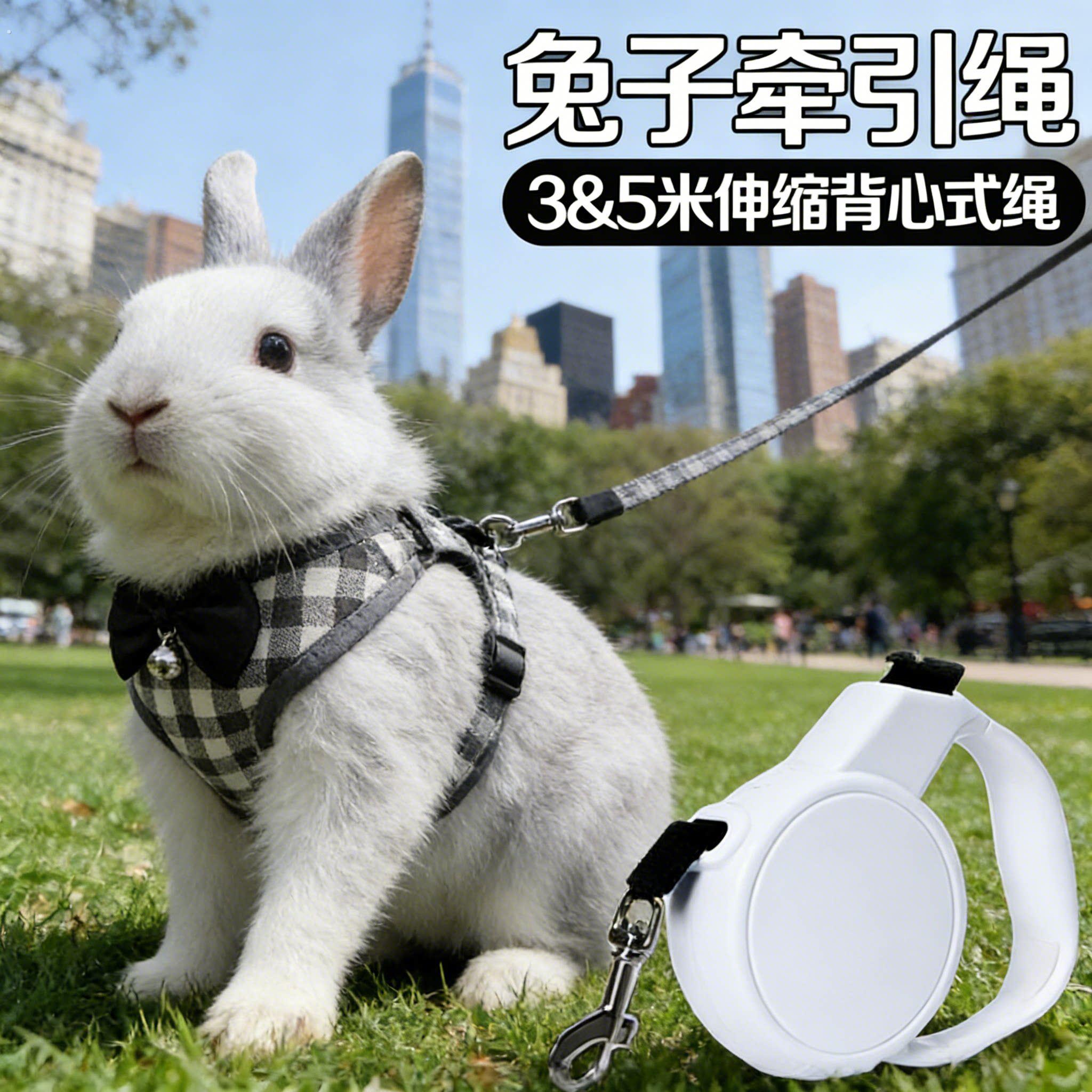 兔子衣服牵引绳外出专用溜兔兔防挣脱遛宠物兔神器可调节拴侏儒兔