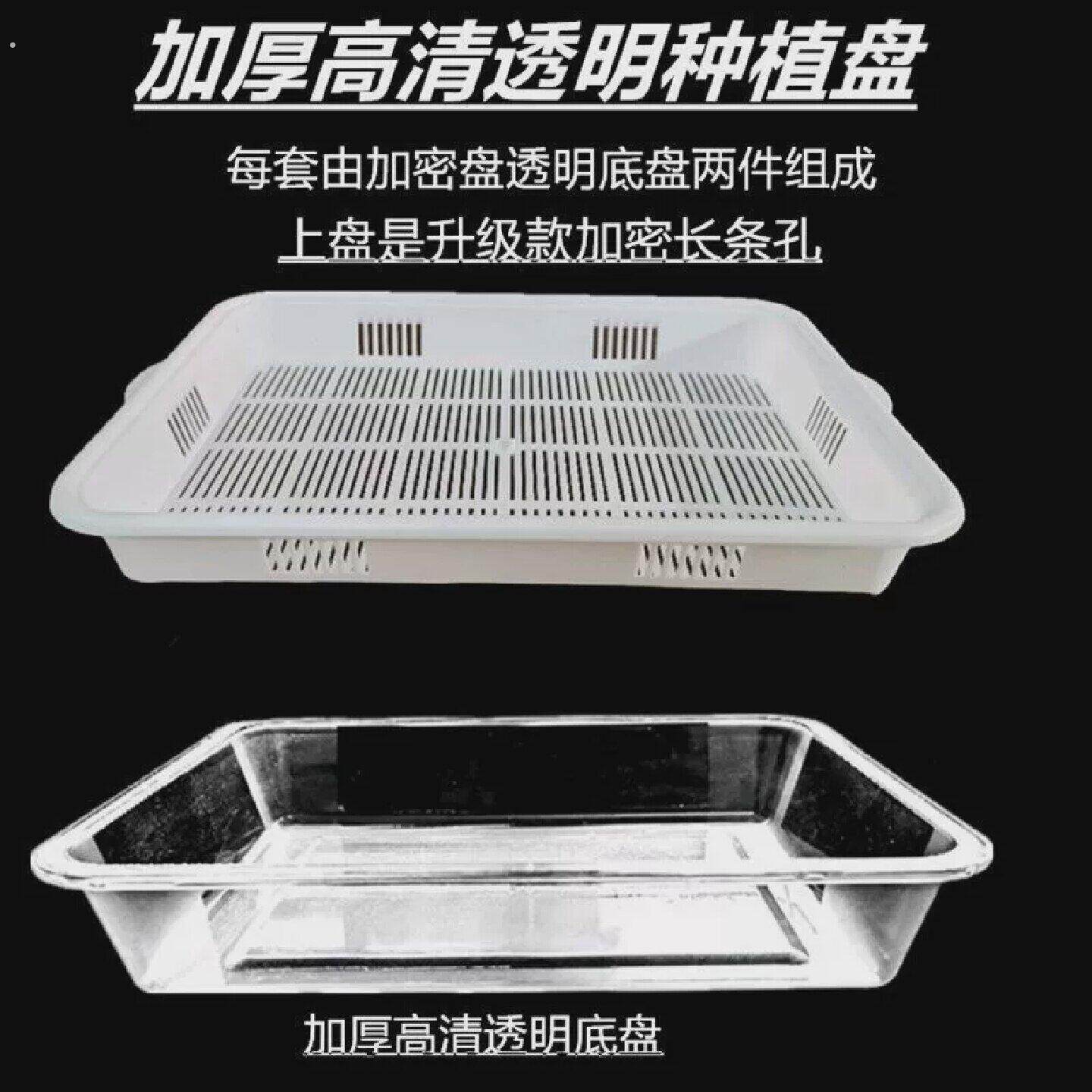水培网格盘透明水培种植盘看得见根发芽盒子种菜盆无土阳台幼儿园