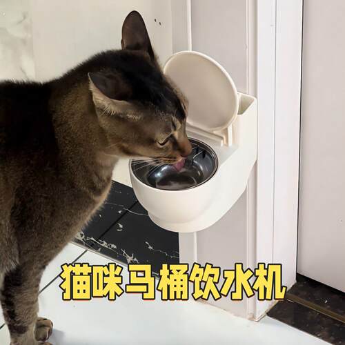 猫咪马桶饮水机防打翻悬挂式不锈钢喝水碗猫食盆宠物专用护颈饭碗