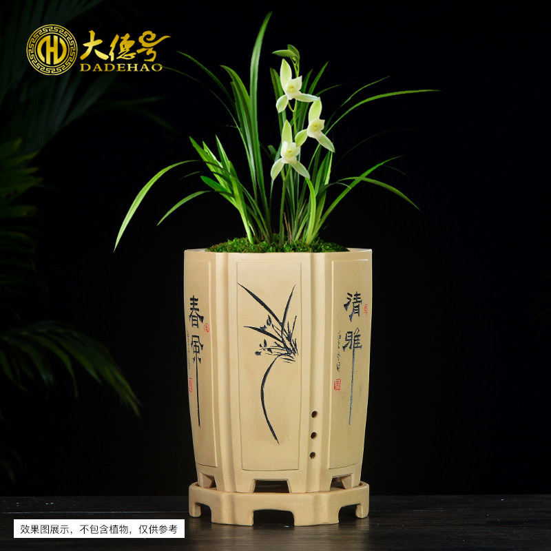 宜兴紫砂兰花盆陶瓷君子兰盆栽蓝草透气六方形兰花盆专用盆带托盘