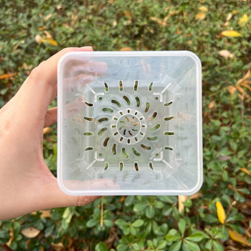 方形透明花盆青山控根盆塑料水培绿萝蝴蝶兰洋兰花专用花盆小方盆图片