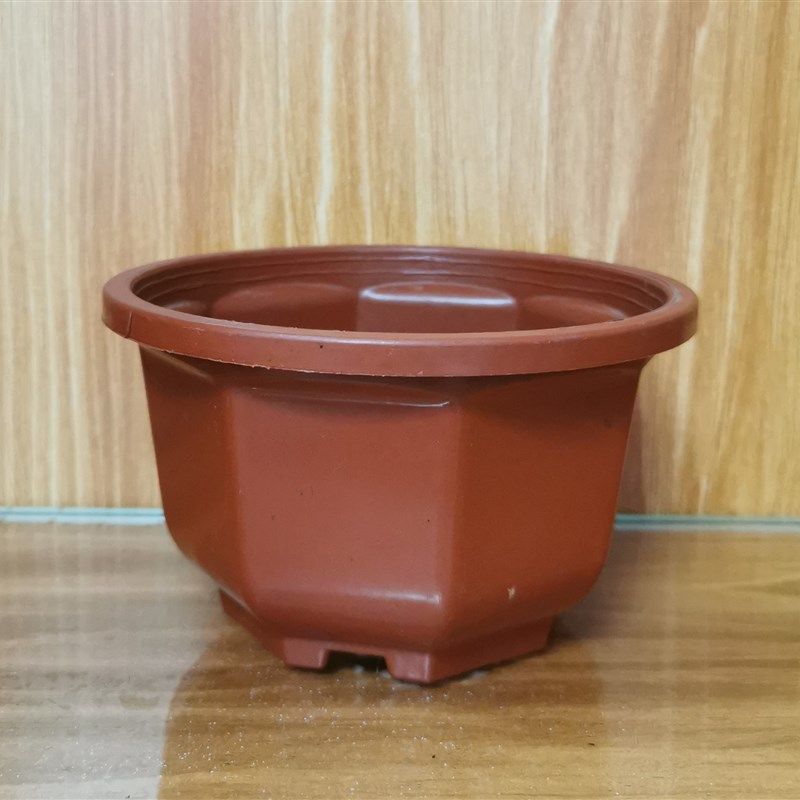 塑料花盆迷你八角多肉情人泪佛珠吊篮盆白色咖啡色悬挂壁挂