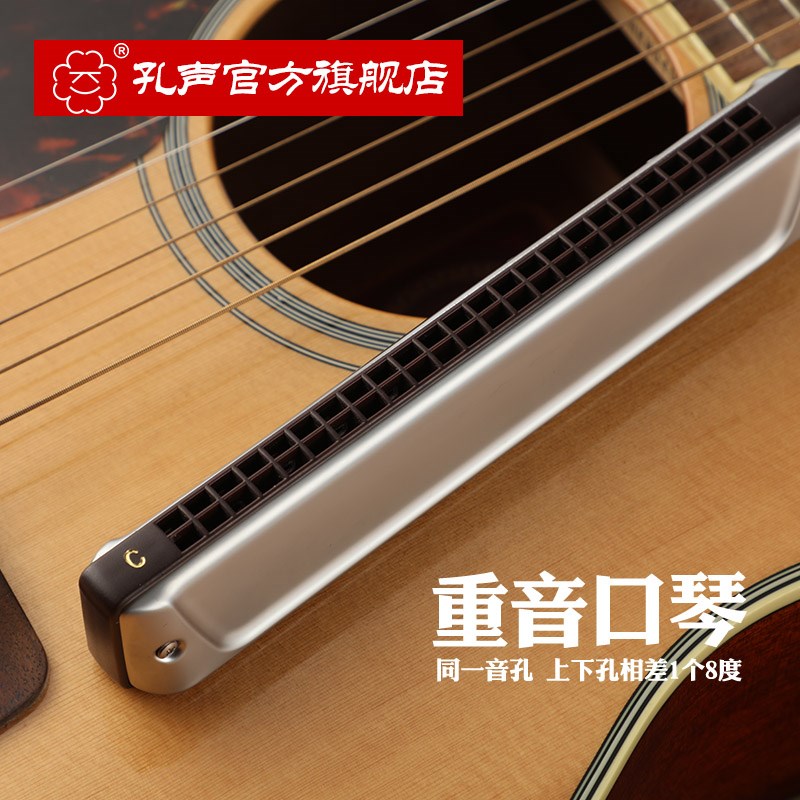 孔声24孔重音口琴专业进阶演奏演出重音C调乐器NO.2440重音口吹琴