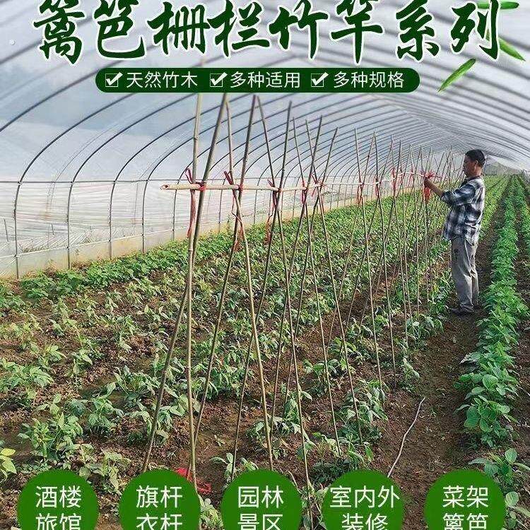 竹竿菜园搭架竹杆条3米豆角黄瓜架子小竹子竹篱笆栅栏围栏架杆棍