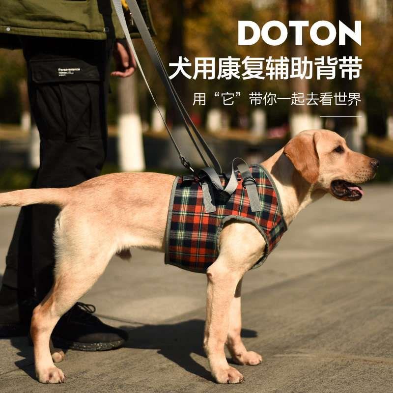 宠物狗狗辅助带狗腿提拉带前腿后腿残疾受伤高老龄犬支撑辅助行走
