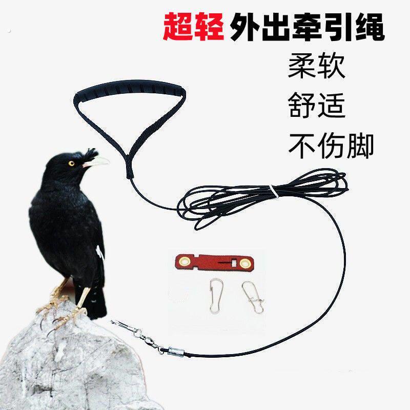 八哥栓鸟绳鹦鹉脚链鸟链子超轻玄风虎皮牡丹放飞遛鸟绳不伤脚皮套