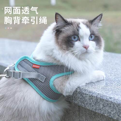 猫咪牵引绳可调节溜猫牵引绳猫绳子猫牵引防挣脱外出专用猫绳背带