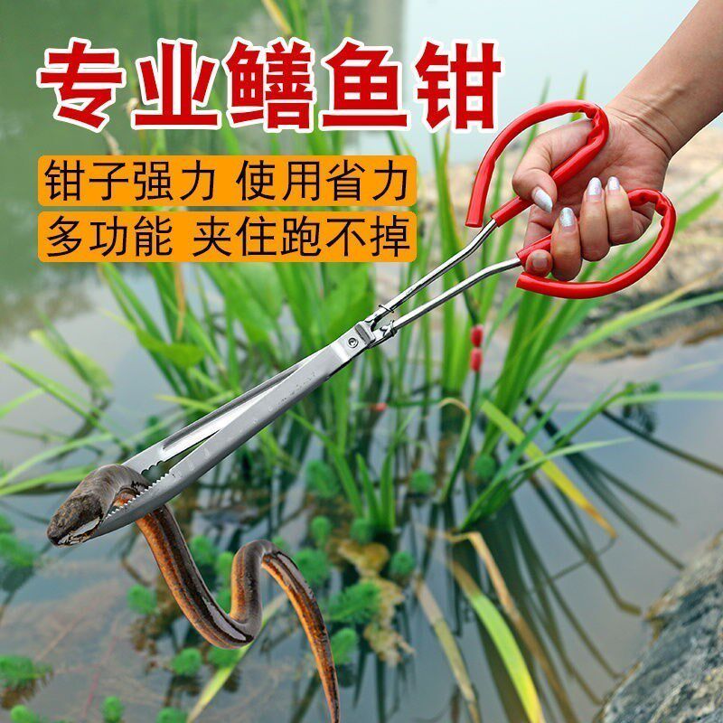 新款黄鳝夹黄鳝夹不锈钢加厚夹黄鳝夹子夹泥鳅螃蟹钳子防滑鳝鱼夹