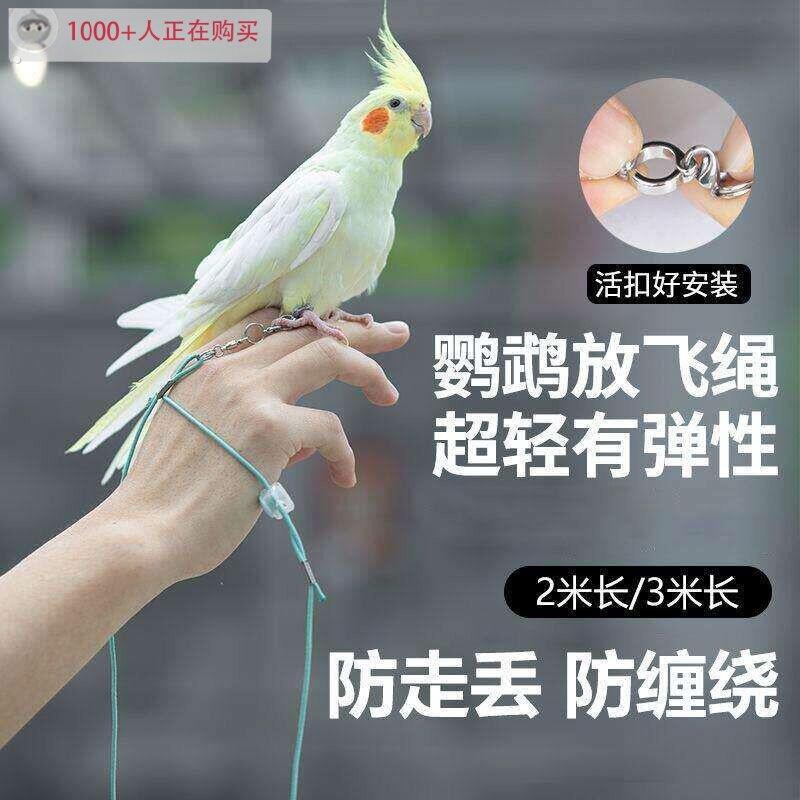 鹦鹉放飞绳户外遛鸟牵引弹力绳超轻不伤脚训练绳虎皮牡丹玄凤脚环