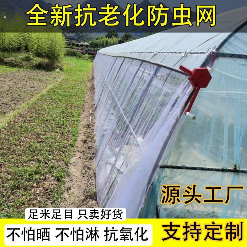 防虫网大棚专用农用蔬菜果园网养猪场防蚊网尼龙网养殖网加密加厚
