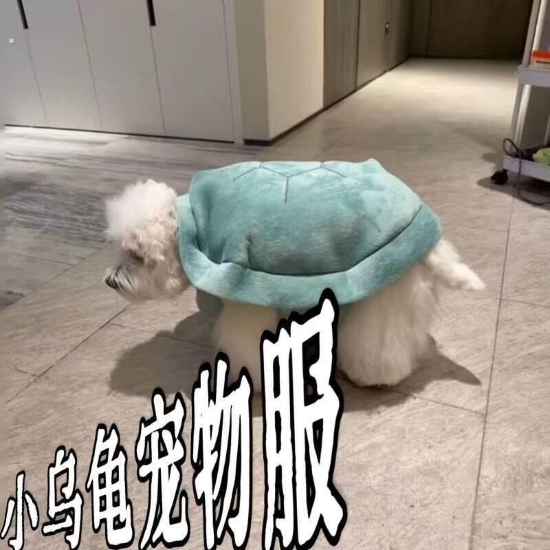 乌龟壳宠物背心猫咪狗狗可穿宠物衣服萌物可爱装扮高颜值拍照道具