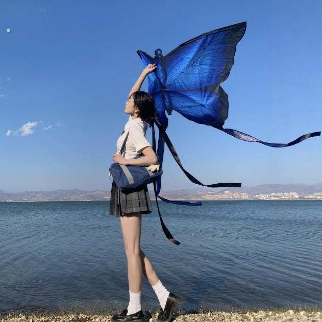 蝴蝶风筝拍照道具大人专用女生手持纸鸢春游网红氛围感出片神器