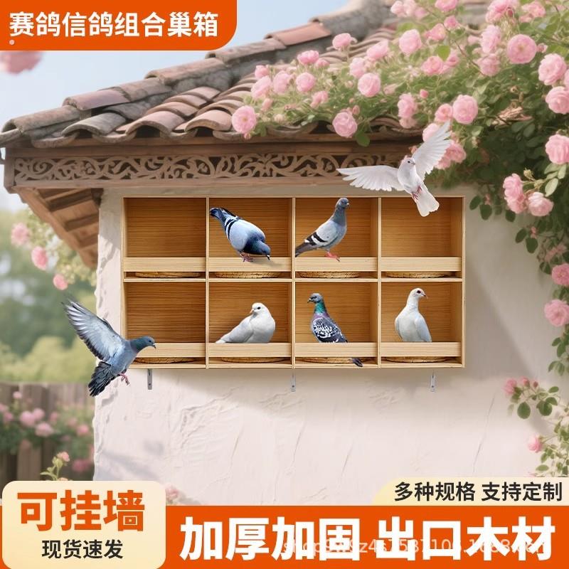 鸽具用品鸽子巢箱拼装鸽子窝信鸽赛鸽养殖配对笼抱窝养殖鸽子笼