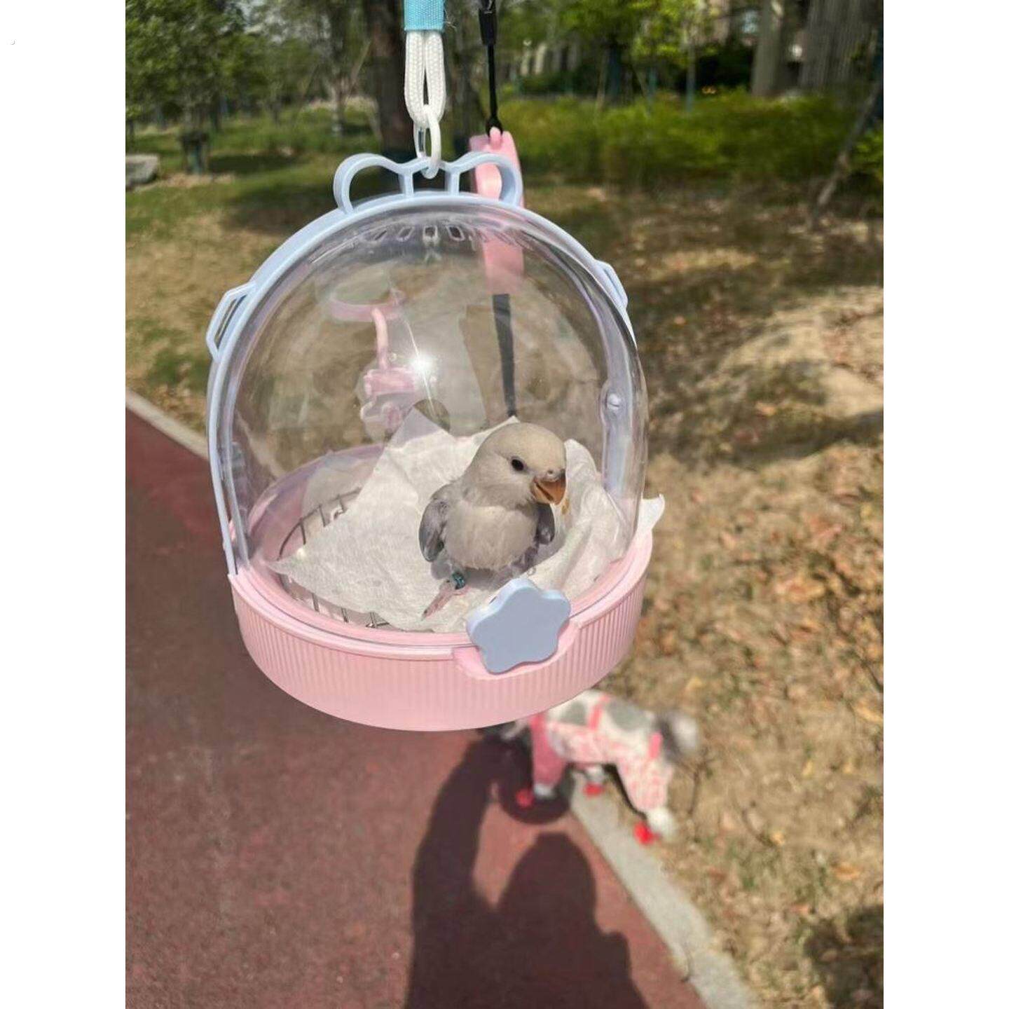 鹦鹉外出可携式鸟笼迷你精致小鸟笼八哥玄凤小太阳外带鸟笼遛鸟专