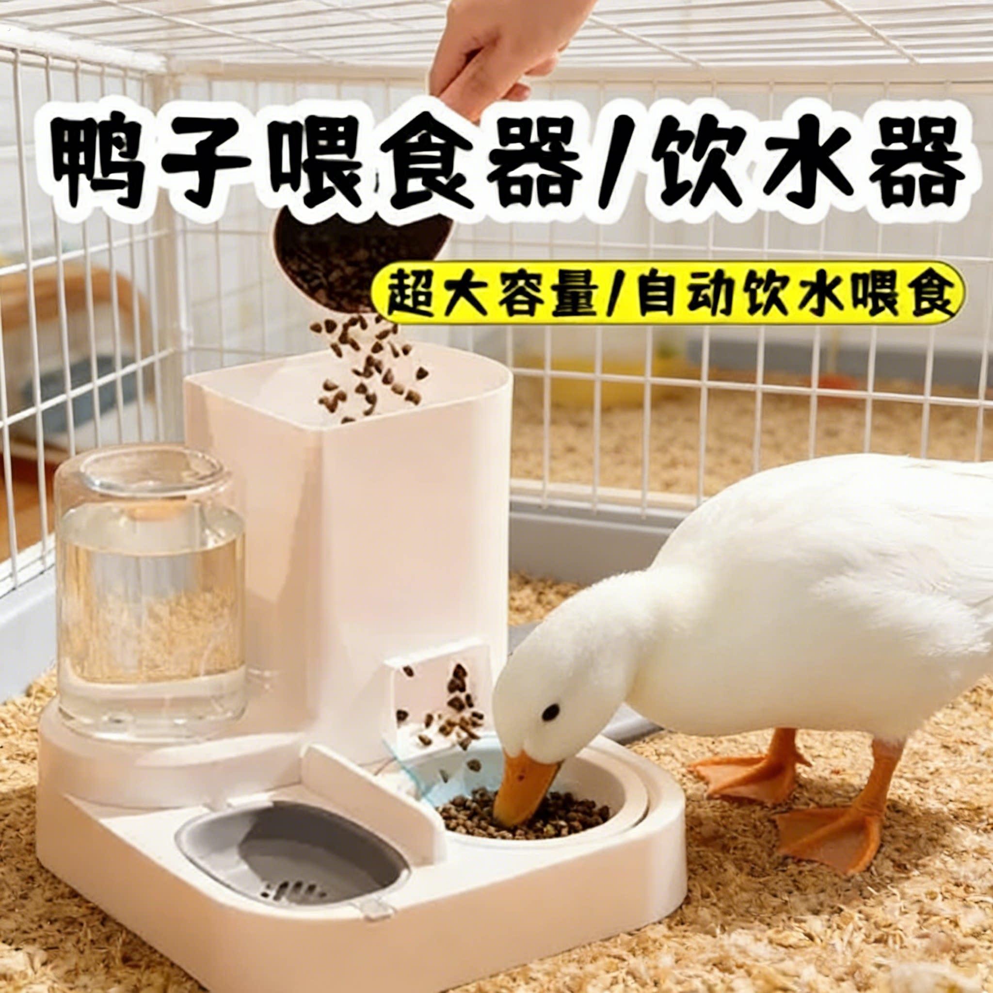 鸭子喂食器食槽水槽一体饮水器自动柯尔鸭神器放置式饮水喂食器