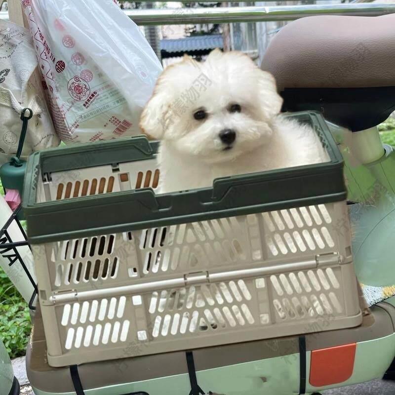 电动车带狗狗神器机车宠物滑板车筐可携式透气载狗骑行防掉踏板篮