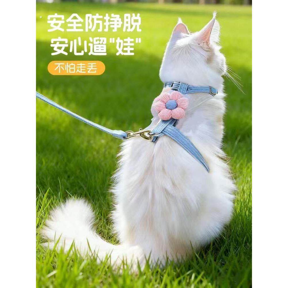 猫咪牵引绳猫绳防挣脱不勒脖遛猫外出专用宠物兔工字胸背溜小猫绳