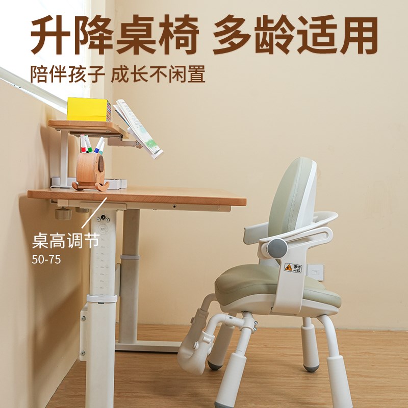 青节儿童学习桌小学生书桌家用实木可升降写字作业专用课桌椅套装
