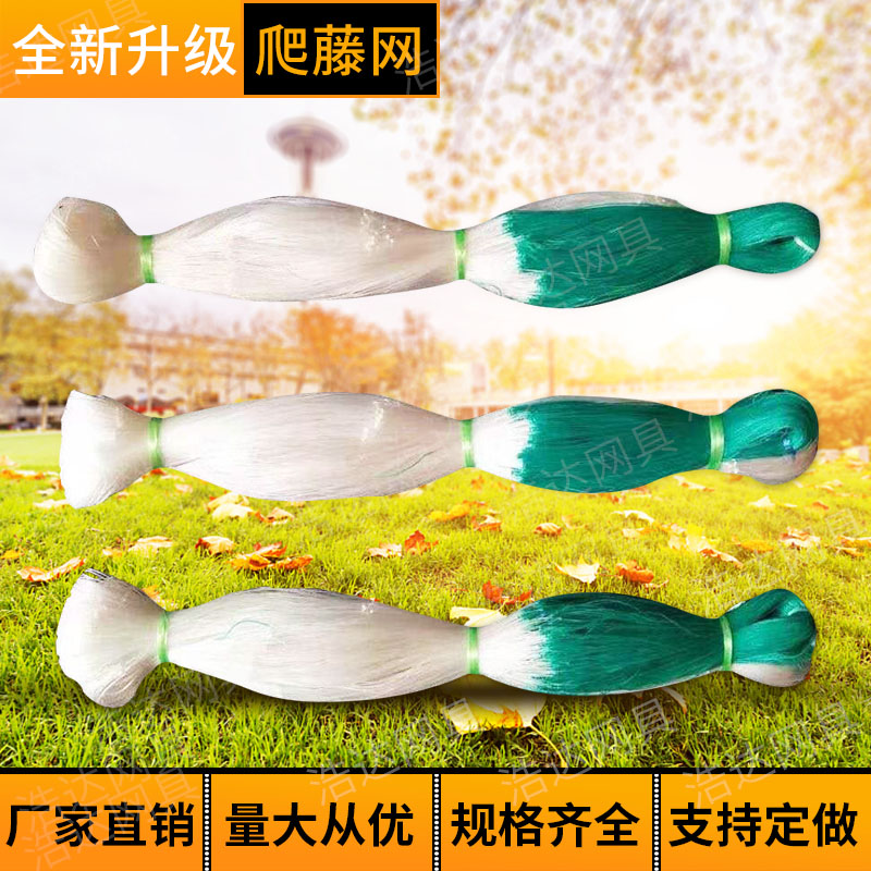植物爬藤网种植网豆角黄瓜百香果苦瓜专用网攀爬网沃柑撑果葡萄架图片