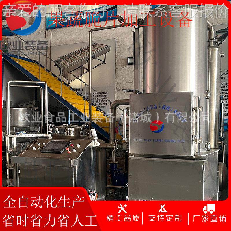 松子真油炸机 MKF果油空炸流水线腰 哈密瓜加工生产 果蔬脆油炸线