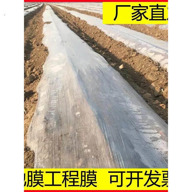 地膜农用种植薄膜地面保护膜塑料透明混凝土建筑工地专用膜工程膜
