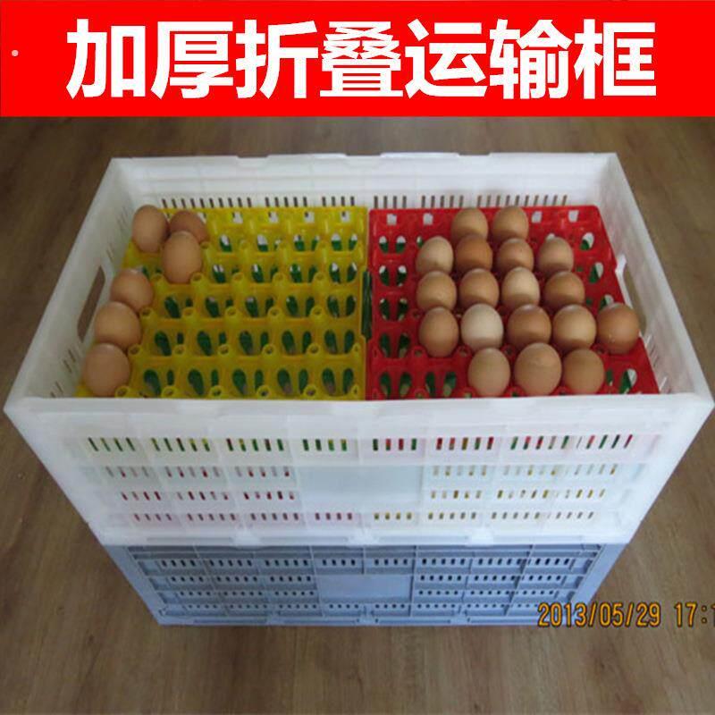 周转箱 塑料欧式折叠箱 0枚鸡蛋托 蛋盘 厂家直供 加厚 出口