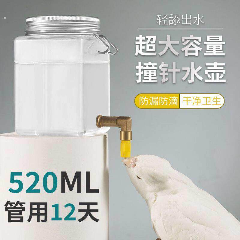 鸟用饮水器鹦鹉八哥虎皮玄风鹩哥兔子自动喝水喂水器撞针水壶用品