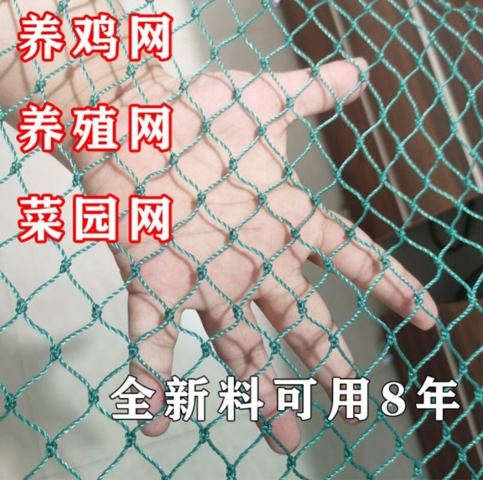 护栏网尼龙网户外家禽养殖网户外养鸡网塑料拦鸡网菜园防鸟网