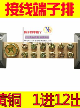 大电流1进12出零地端子排双排12孔汇流铜条接线端子排分线零地排