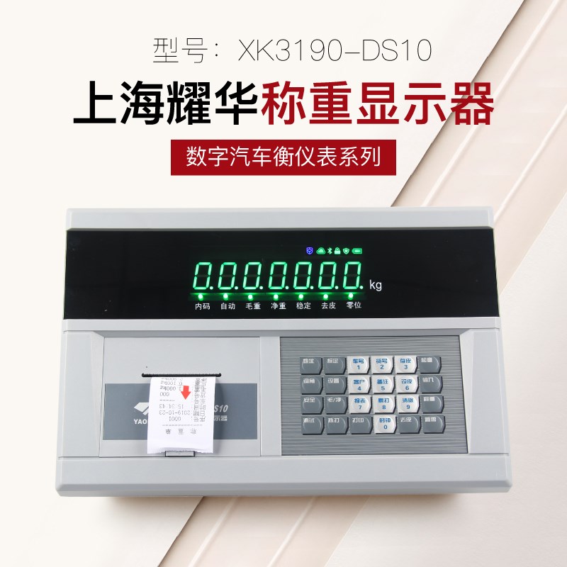 上海耀华XK3190-DS10称重显示器物联网仪表大地磅汽车衡数字表头