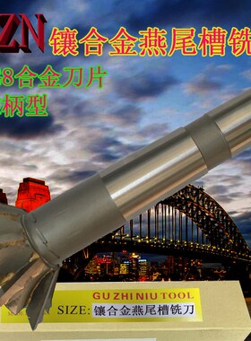 镶合金锥柄燕尾槽铣刀30 35 40  50 60 80 100-45度 55度 60度