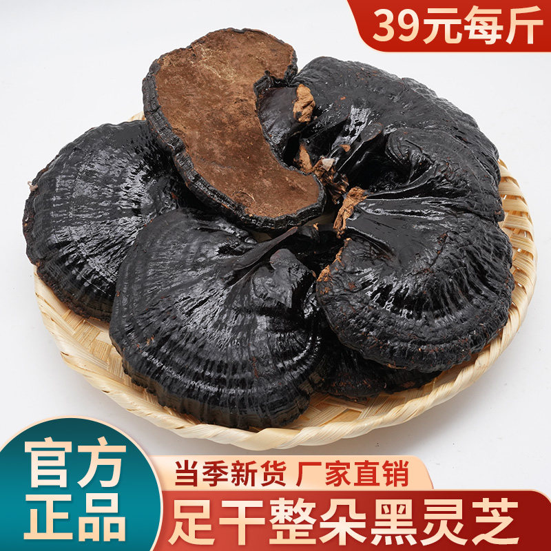 正宗黑灵芝官方正品整枝灵芝干货煲汤泡水用泡酒料高品质黑灵芝