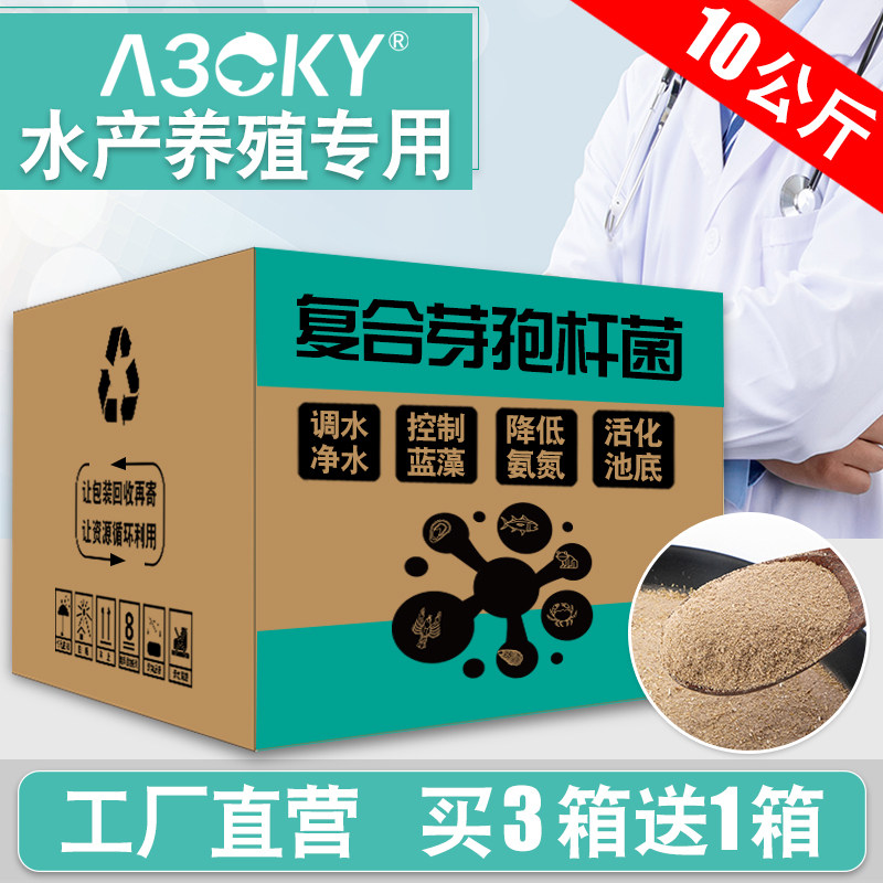 复合枯草芽孢杆菌原粉em菌原种降解氨氮亚盐调水肥水产养殖益生菌