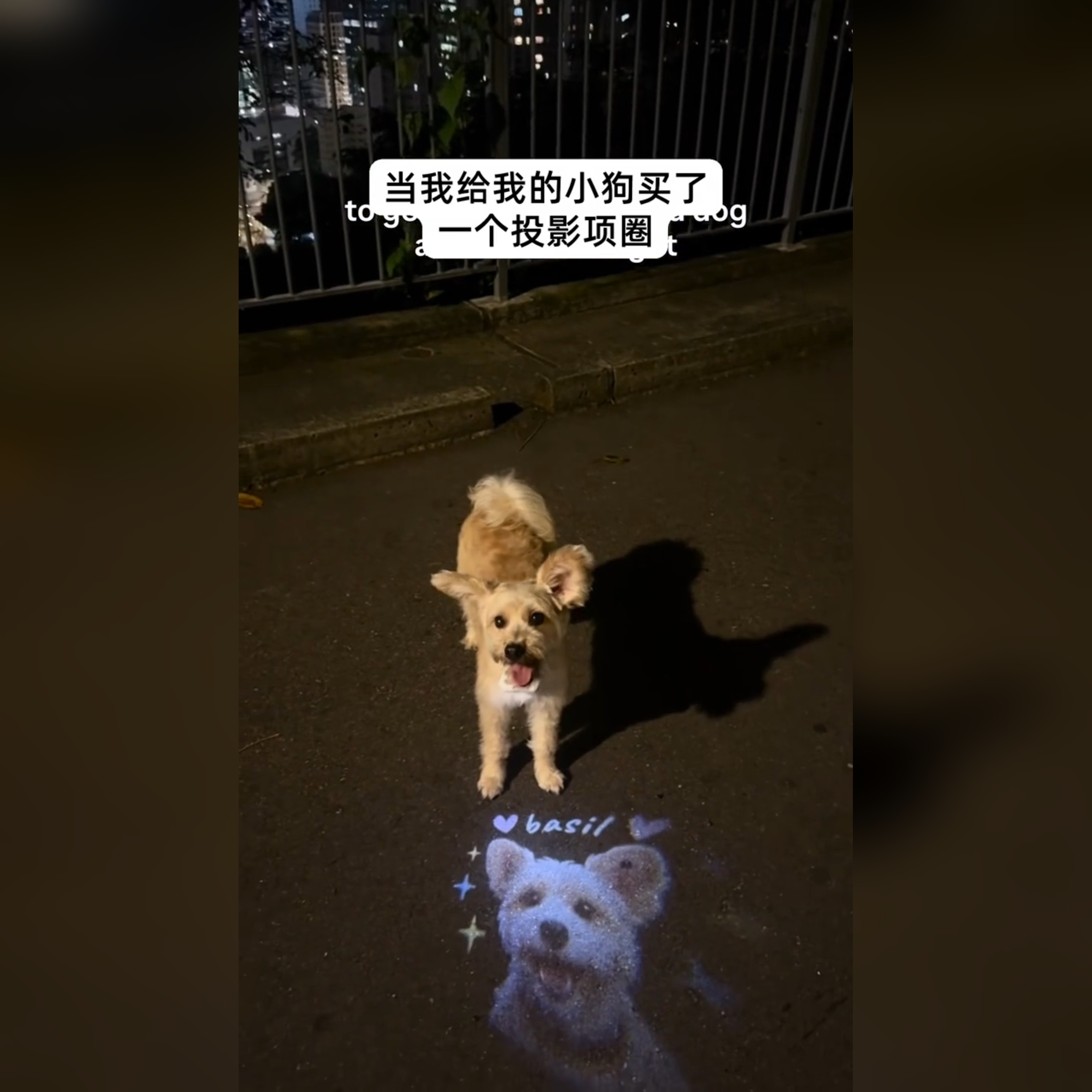 狗狗自拍投影项圈宠物照片社交投挂饰/挂牌