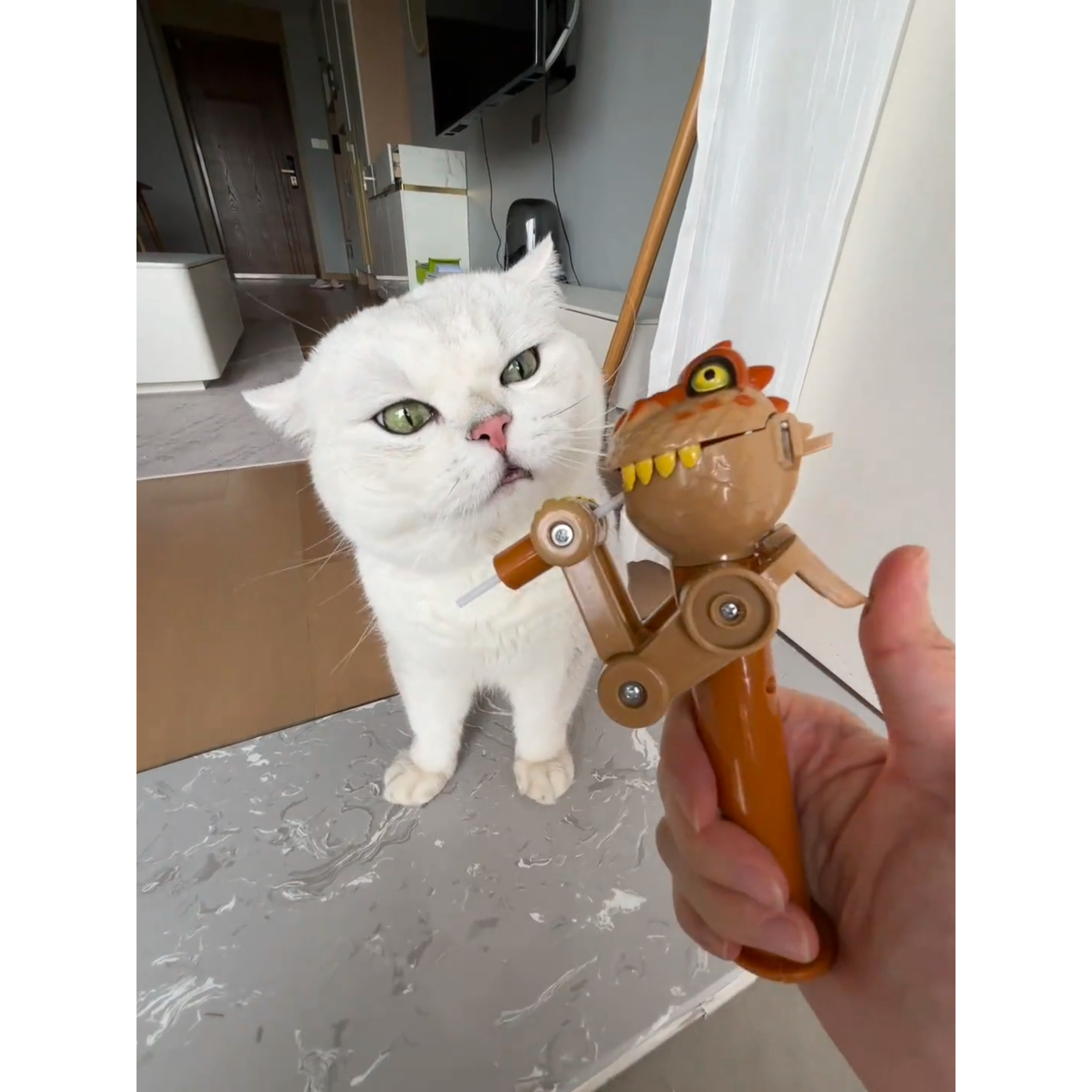 糖果恐龙糖玩机器人棒棒糖创意散猫狗特色玩具