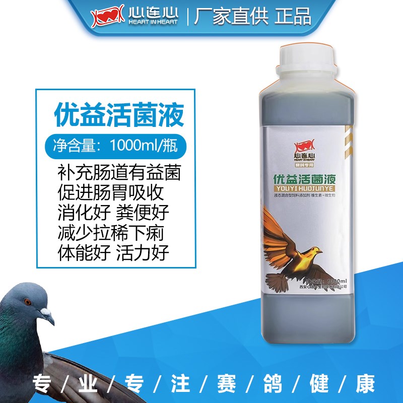 心连心鸽子保健活菌鸽用鹦鹉鸟专用活菌益生菌调理肠道优益活菌液