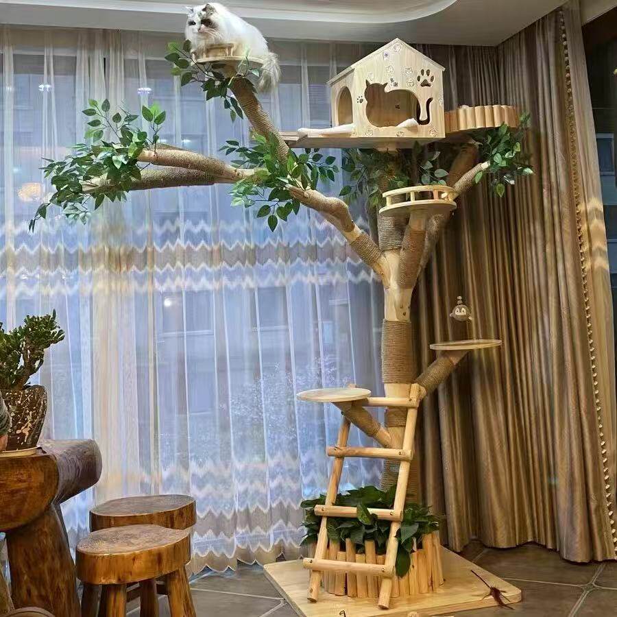 大型猫树猫爬架猫窝猫树一体实木真树干耐磨不粘毛猫爬树宠物跳台